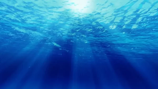 海洋深層水の美容効果とそのメカニズムについて